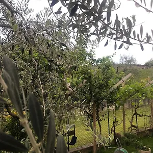 Bardolino,lago Di Garda, Appartamento,vacanze Apartment